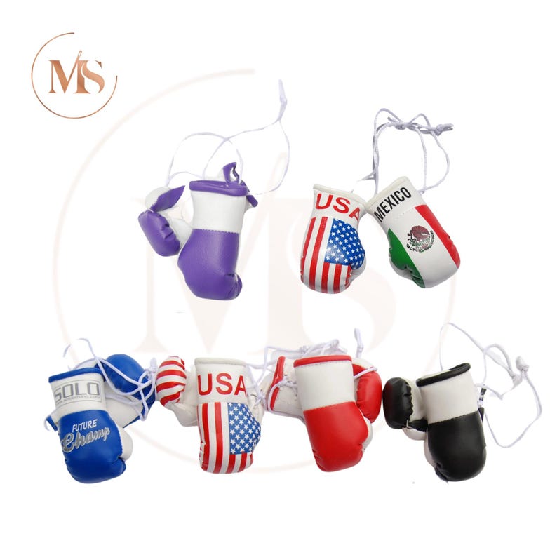 Pu&ograve; includere: Mini guantoni da boxe in vari colori e design. Alcuni guantoni presentano la bandiera americana, mentre altri mostrano la bandiera messicana. Un paio &egrave; viola e bianco, e un altro paio &egrave; blu con la scritta "SOLO FUTURE CHAMP".