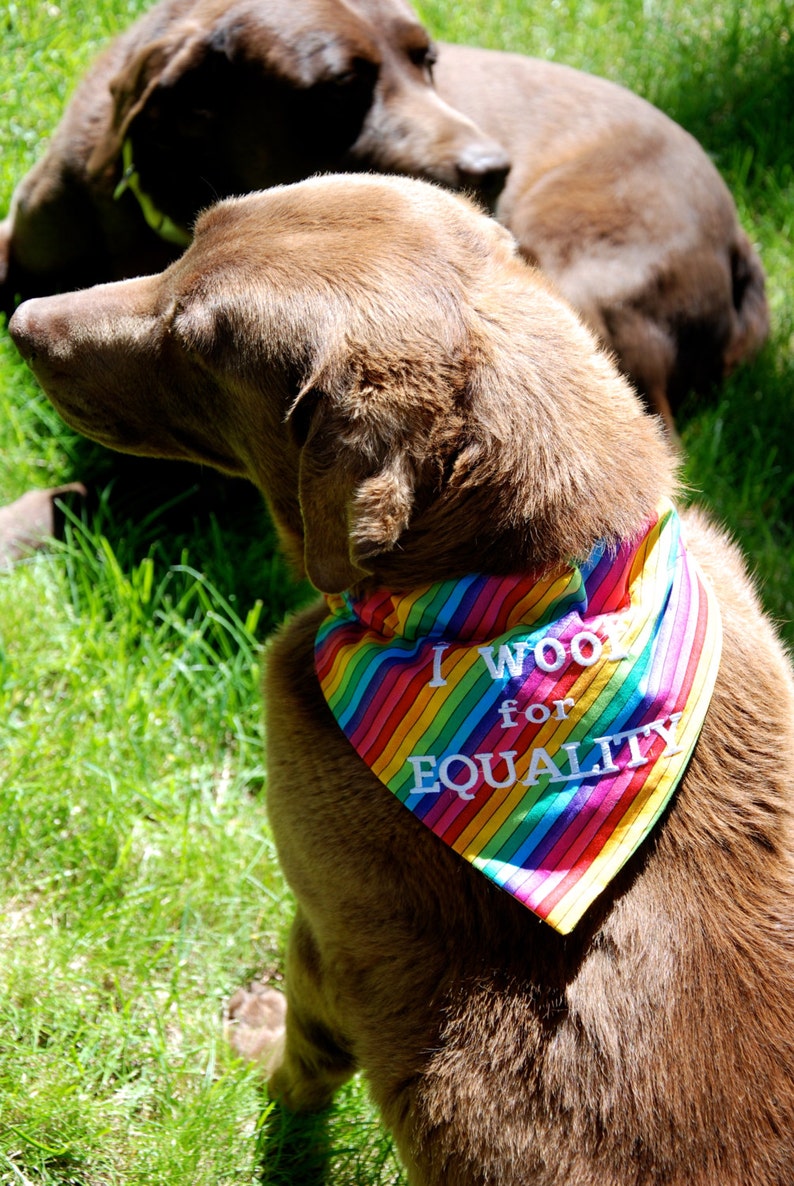 Medium and Large Bandanas LGBTQ  Pride Equality /Pet Bandana image 1