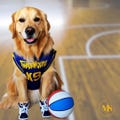 Personalized Pet Basketball Jersey