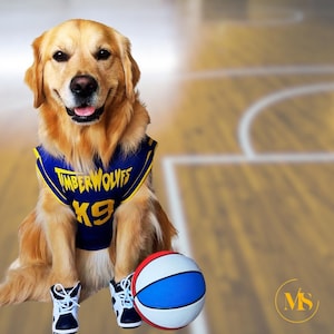 Personalized Pet Basketball Jersey