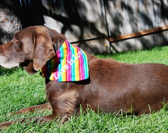 Medium and Large Bandanas Gay Pride Equality /Pet Bandana
