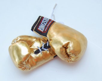 Mini Boxing Gloves for Your Little Champion