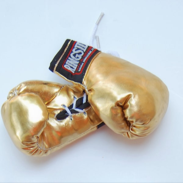 Mini Boxing Gloves for Your Little Champion