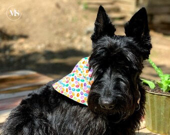 Big/Small Brother or Sister Personalized Pet Bandanas