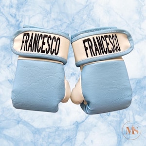 May include: A pair of baby blue boxing gloves with white accents. The word "FRANCESCO" is embroidered in black on the wrist straps. The gloves are designed for a small hand size.