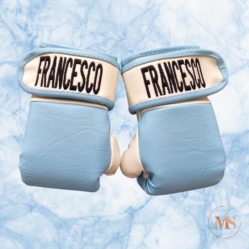 May include: A pair of baby blue boxing gloves with white accents. The word "FRANCESCO" is embroidered in black on the wrist straps. The gloves are designed for a small hand size.