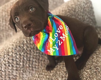 LGBTQ+ Custom Pride Pet Bandanas (for small-sized dogs)