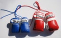 Personalized Kids' Boxing Gloves