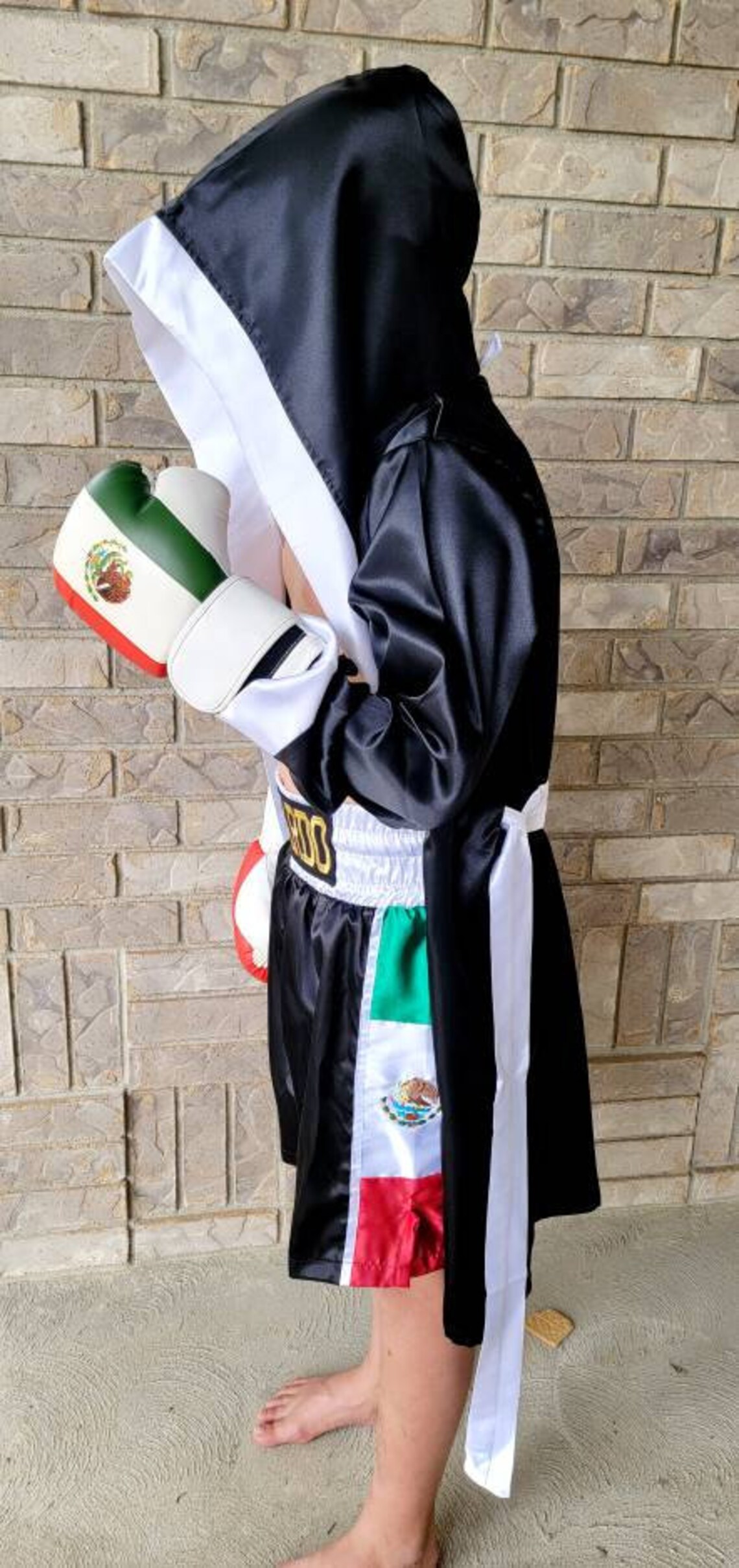 Mexico Youth Boxing Robe Shorts and Gloves Etsy