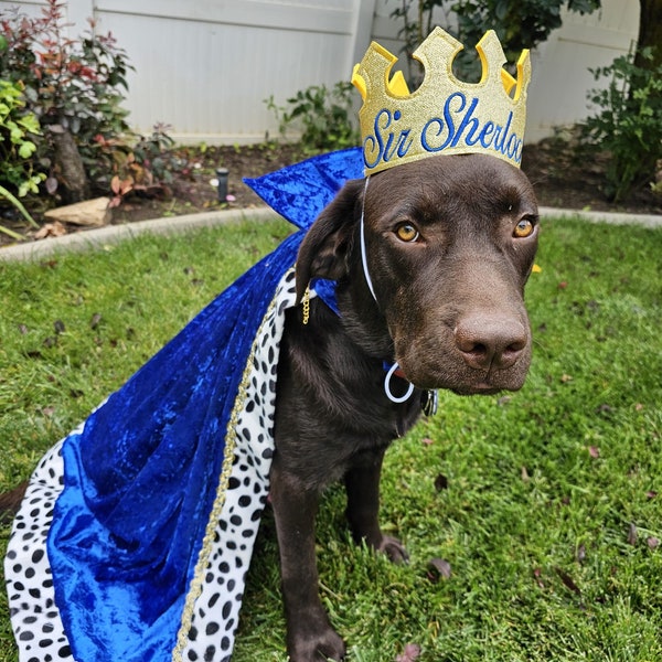 Regal Dog King Cape and Crown Set - Fit for Royalty!