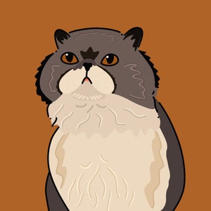 Custom Pet Portrait