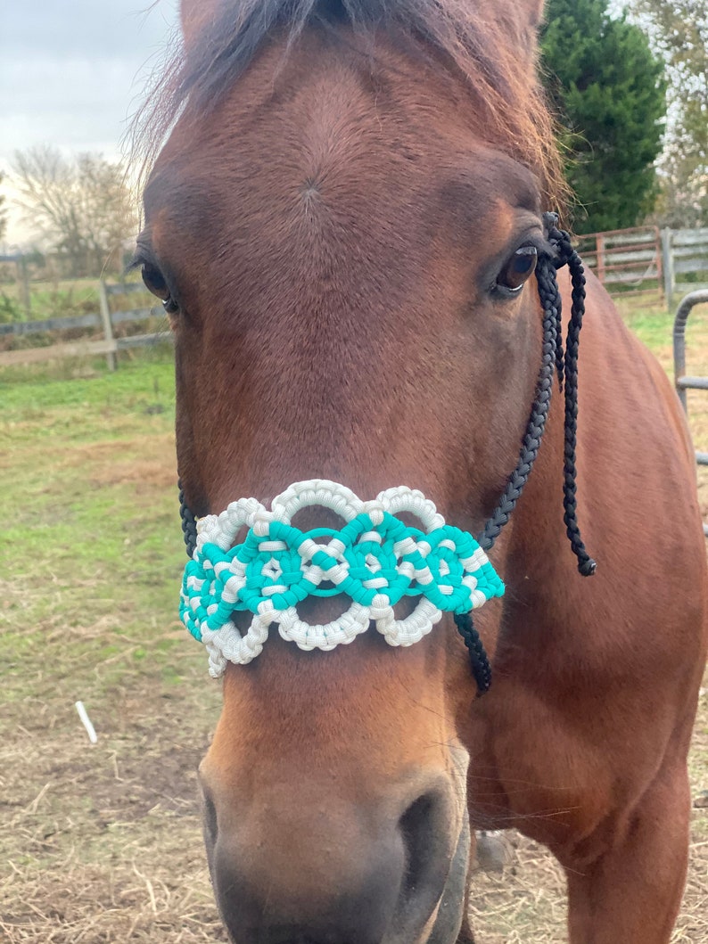 Horse size paracord halter paracord halter Etsy