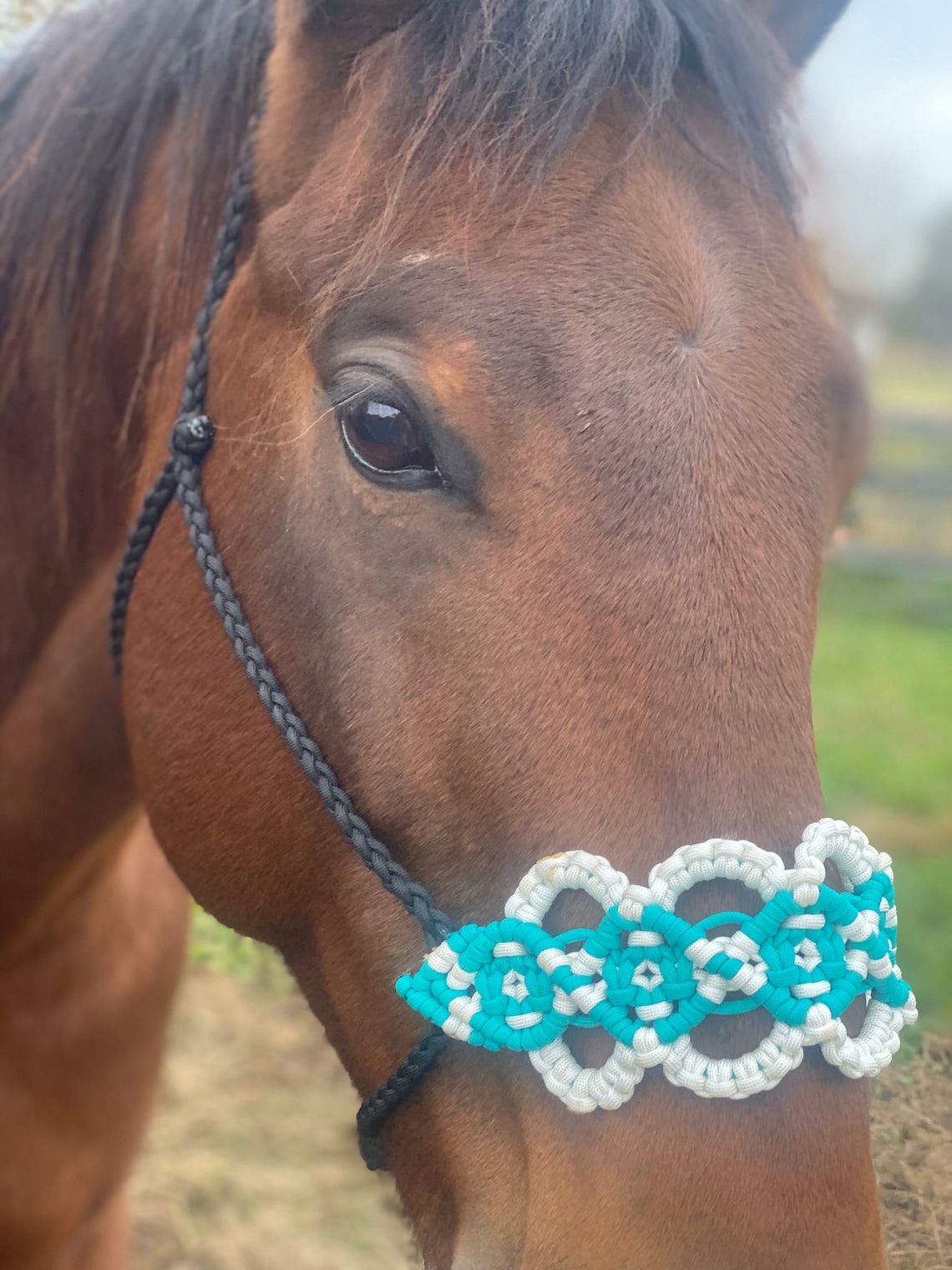 Horse size paracord halter paracord halter Etsy