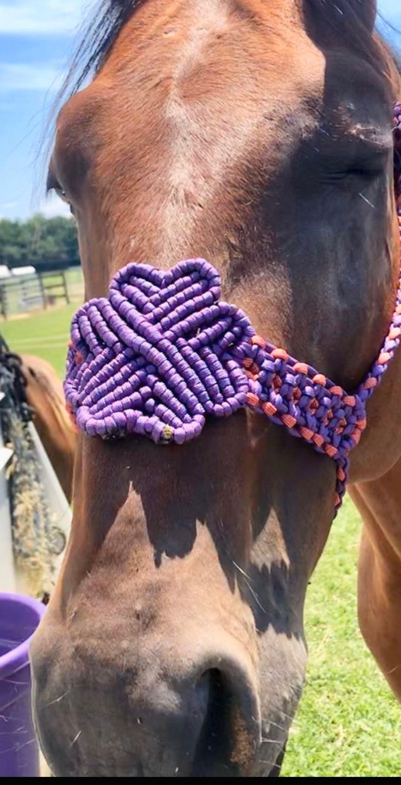 Paracord halter horse halter Etsy