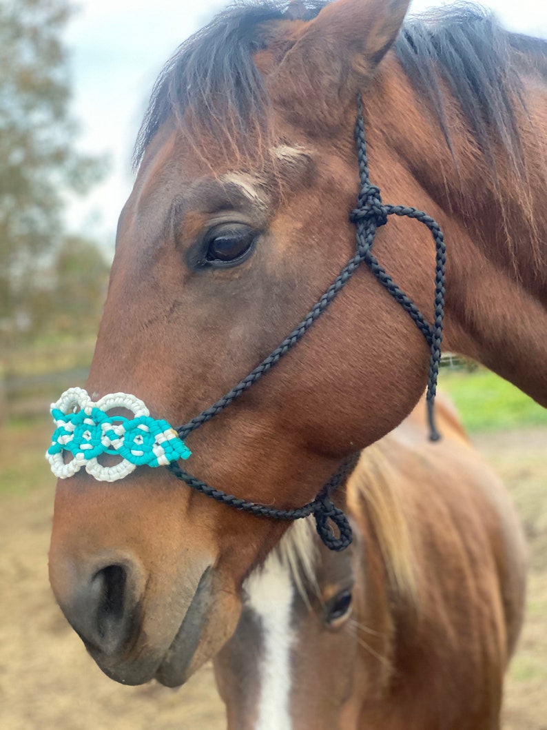 Horse size paracord halter paracord halter Etsy