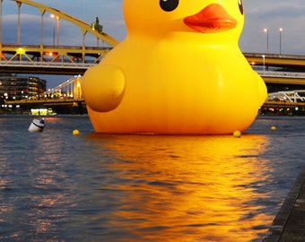 Желтая уточка. Желтые rubber duck. Уточка в ванной. Утенок для ванны. Почему желтая утка.