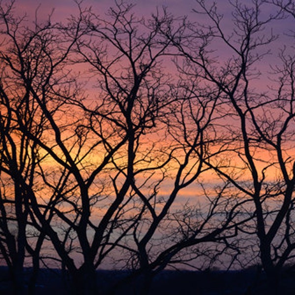 Sunset in the South Hills, Pittsburgh, Pa, Landscape, Free Matting