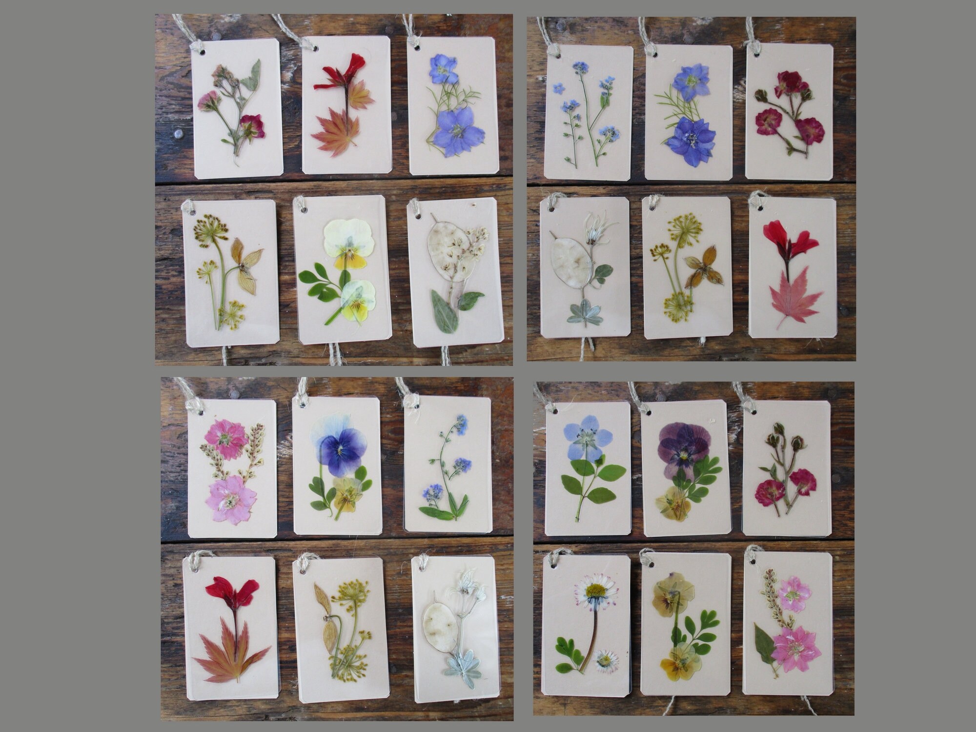 6 gift tags with real pressed flowers laminated. Size 85 x Etsy