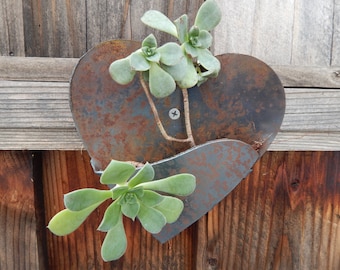 Colgador de pared de jardín de bolsillo de plantas en forma de corazón.