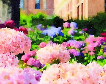 Watercolor Hydrangeas Art Digital Photo