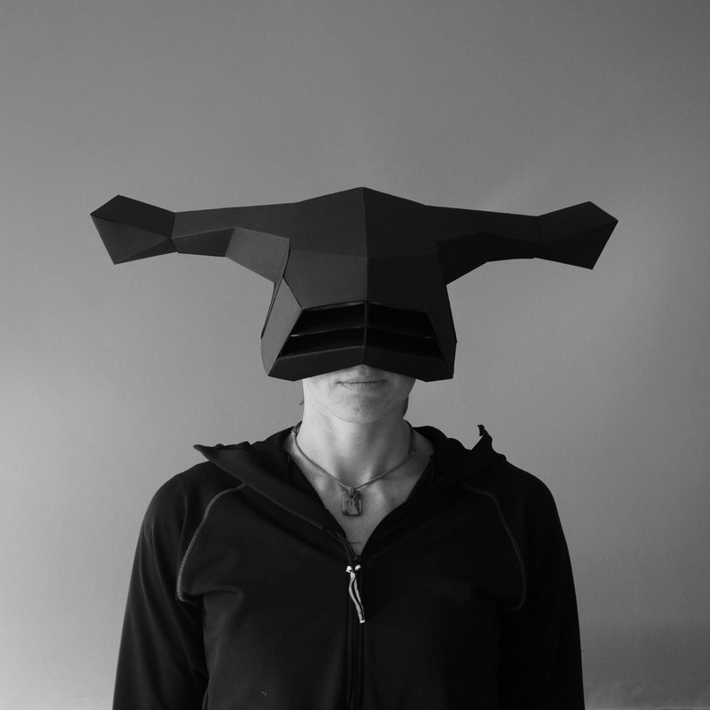 Project echelon essay 07 picture