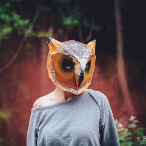 Owl 3D Papercraft Mask Template, Low Poly Paper Mask, Unique Halloween Costume, Animal Mask, PDF Pattern