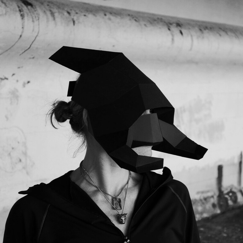 Echelon racing image