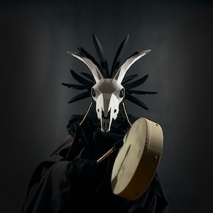 May include: A person wearing a black costume with a white skull mask and holding a brown tambourine. The mask has a long, pointed nose and large, empty eye sockets.