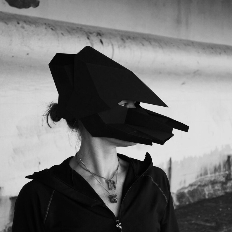 Project echelon essay image