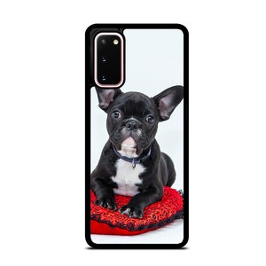 Op de afbeelding: Een zwart-witte Franse bulldog puppy die op een rood hartvormig kussen zit. De puppy draagt een zwarte halsband.