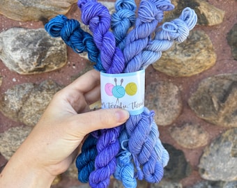 DK Tonal Minis, Hand Dyed DK Weight Mini Skein Set, Splendid DK Base Yarn