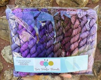 DK, Purples, Hand Dyed Mini Skein Set, Hand Dyed Mini Skeins, DK weight yarn, Hand Dyed Yarn, mini skein set, minis, purple