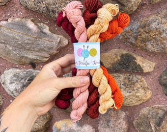 Sock Minis, Ready to Ship, Hand Dyed Yarn, fingering weight, Tonal Mini Skein Set