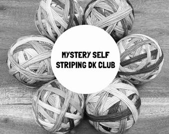 DK, Preorder, July Color of the Month, Hand Dyed Yarn, Self Striping Yarn, Hand Dyed Self Striping Yarn, DK weight, mystery yarn