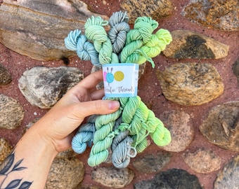 DK Tonal Minis, Hand Dyed DK Weight Mini Skein Set, Splendid DK Base Yarn