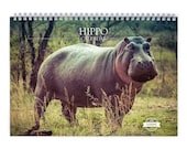 Hippo 2027 Wall Calendar 