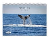 Whale 2027 Wall Calendar 