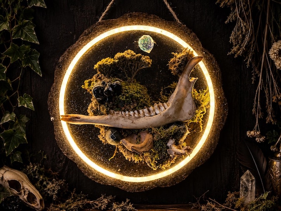 Illuminated Bone Wall Art, Gothic Moss & Jawbone Wall Mount, Handmade Oddities Decor, Crystal Curiosity, Dark Naturalist
