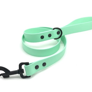 May include: A mint green dog leash with a black metal clip and a black metal ring. The leash has black dots along the length.