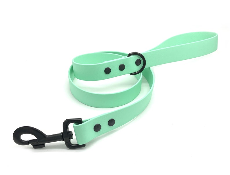 May include: A mint green dog leash with a black metal clip and a black metal ring. The leash has black dots along the length.