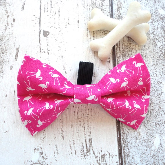 bow dog collars uk