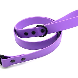 May include: A purple rubber dog leash with a black metal ring and a black metal clip.