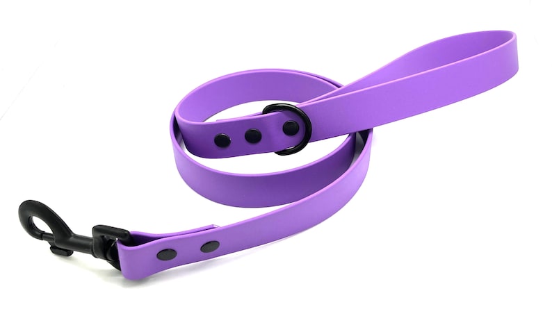 May include: A purple rubber dog leash with a black metal ring and a black metal clip.