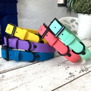Premium Waterproof Biothane Dog Buckle Collar | Made in the UK