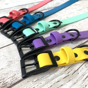 Waterproof Biothane Dog Collar | Made In The UK | Buckle Collar