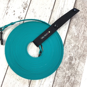 May include: A teal dog training lead coiled on a wooden surface, with a black handle and clip. The handle features the text "DITSY PET." in white and a paw print logo. The lead is made of a flexible, durable material.