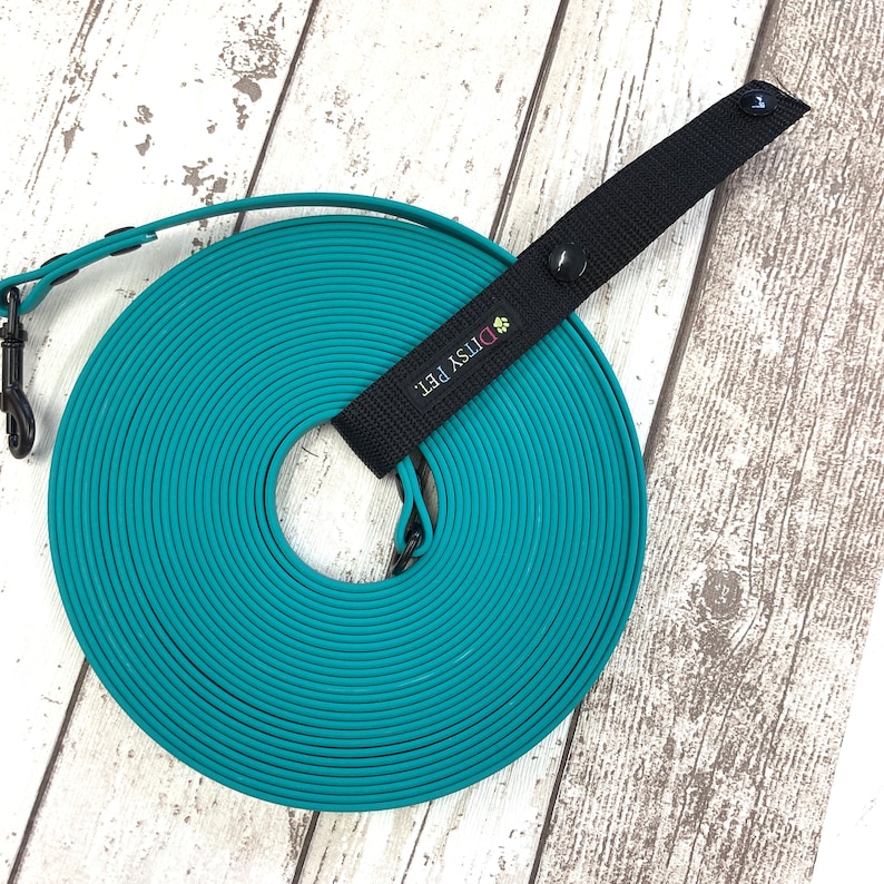 May include: A teal dog training lead coiled on a wooden surface, with a black handle and clip. The handle features the text "DITSY PET." in white and a paw print logo. The lead is made of a flexible, durable material.