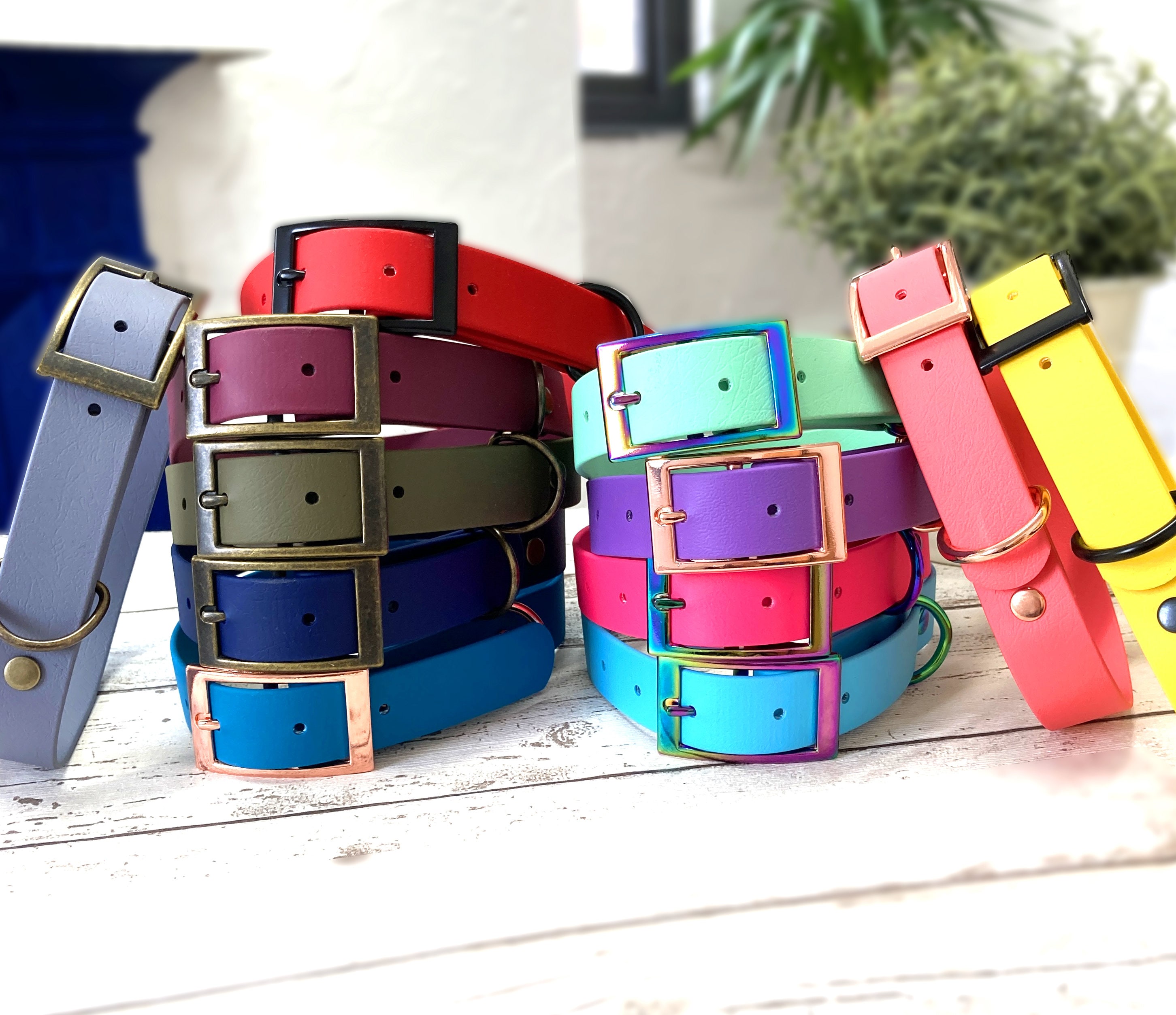 Collar de biotano impermeable con hebilla para perro / Diseña el tuyo propio / Hecho en el Reino Unido