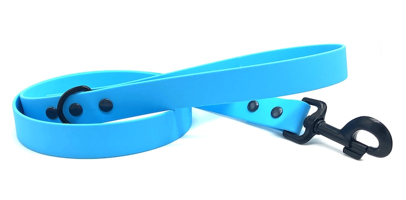 May include: A bright blue dog leash with a black metal clip and three black metal accents. The leash is made of a durable rubber material.