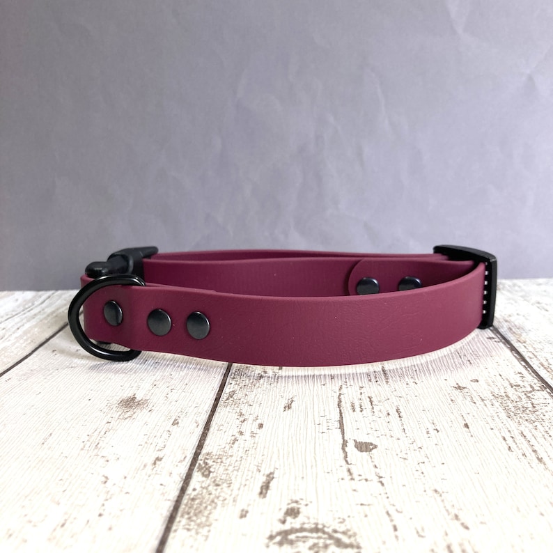 May include: A burgundy silicone dog collar with a black buckle and D-ring. The collar has four black metal rivets.